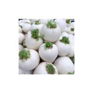 Alternative view of 四川春不老萝卜种子